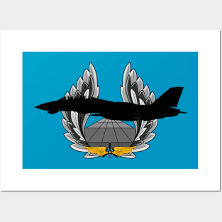 F-14 Tomcat Posters and Art